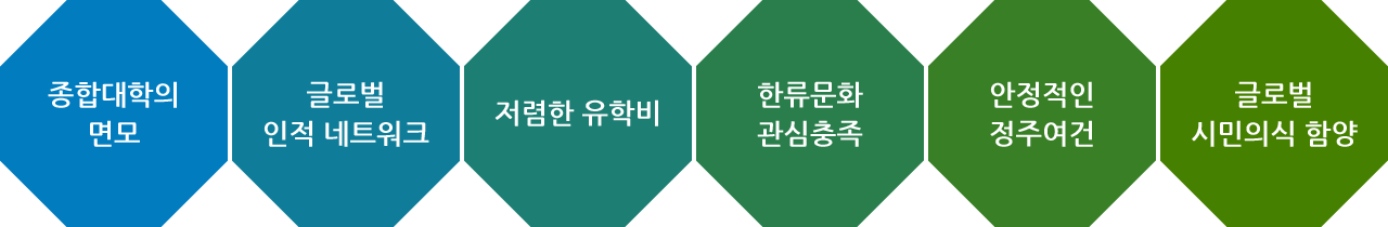 종합대학의 면모, 글로벌 인적 네트워크, 저렴한 유학비, 한류문화 관심충족, 안정적인 정주여건, 글로벌 시민의식 함양